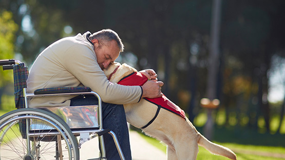 A man in a wheelchair hugging his support dog in a park.