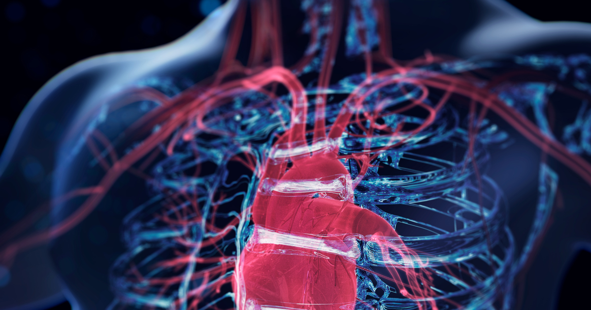 A 3D model shows the inside of a person's chest with their heart and veins glowing.