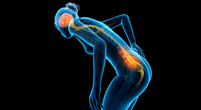 A digital rendering of a hunched down person with  brain and spine pain.