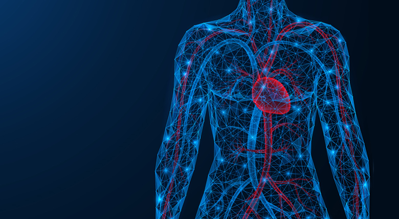 Image of heart inside chest