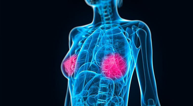 3D rendering image showing anatomy of chest and breast tissue