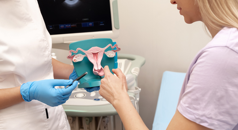 A clinician reviews a 3D anatomical model of the female reproductive system with a patient during a gynecologic consultation