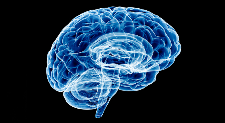 An X-ray-like image of a human brain in blue.