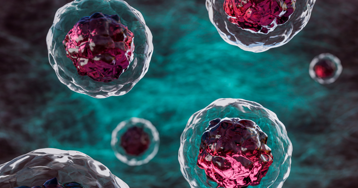Close-up of human cells floating in a dark space.
