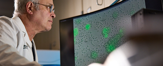 An AHN doctor looks at green cells on a computer. He wears a white coat and glasses.